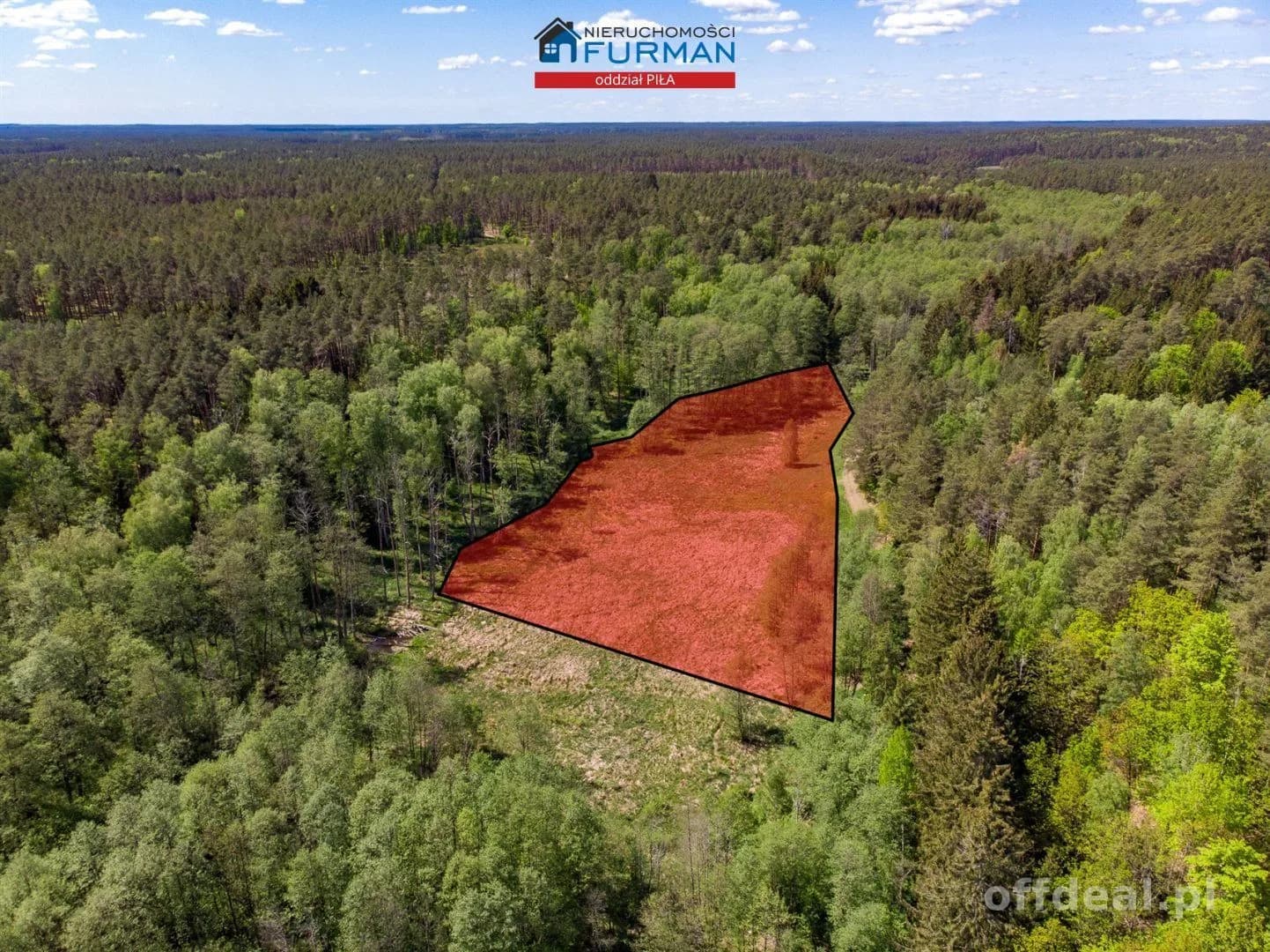 terrain à vendre à Róża Wielka | 24 900 m²