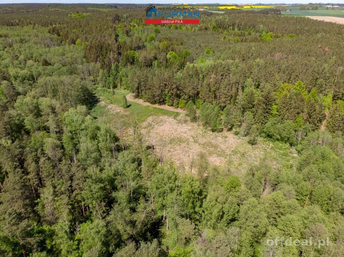 terrain à vendre à Róża Wielka | 24 900 m²
