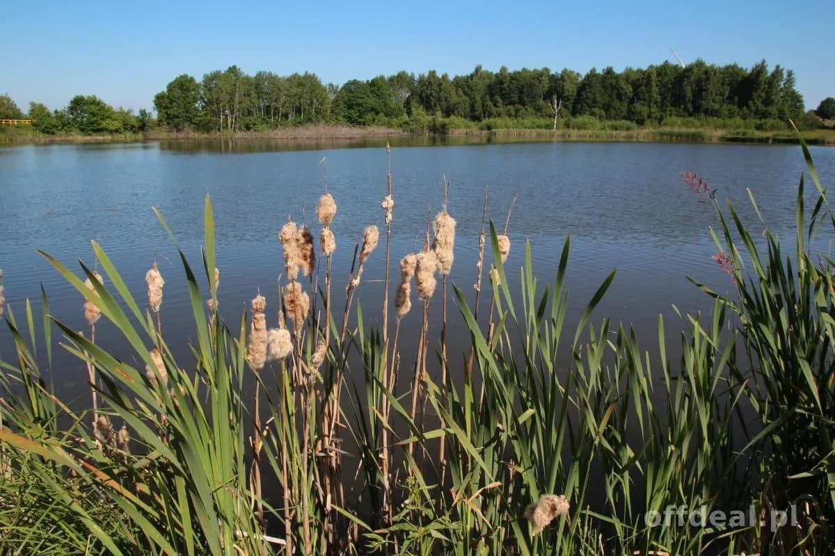 terrain à vendre à Jarogniew | 59 100 m²