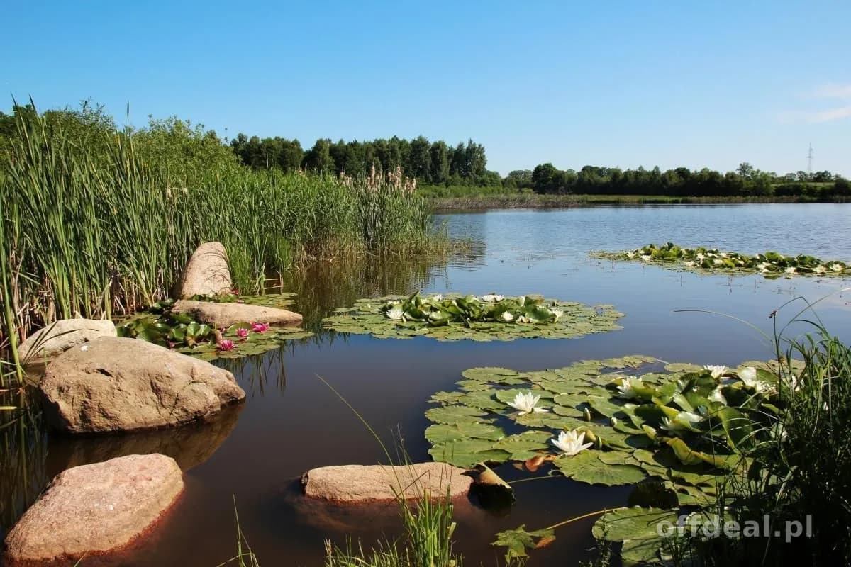 terrain à vendre à Jarogniew | 59 100 m²