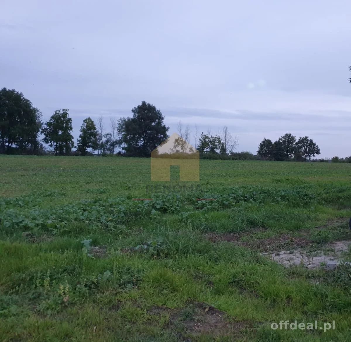 terrain à vendre à Drozdowice Wielkie | 40 450 m²