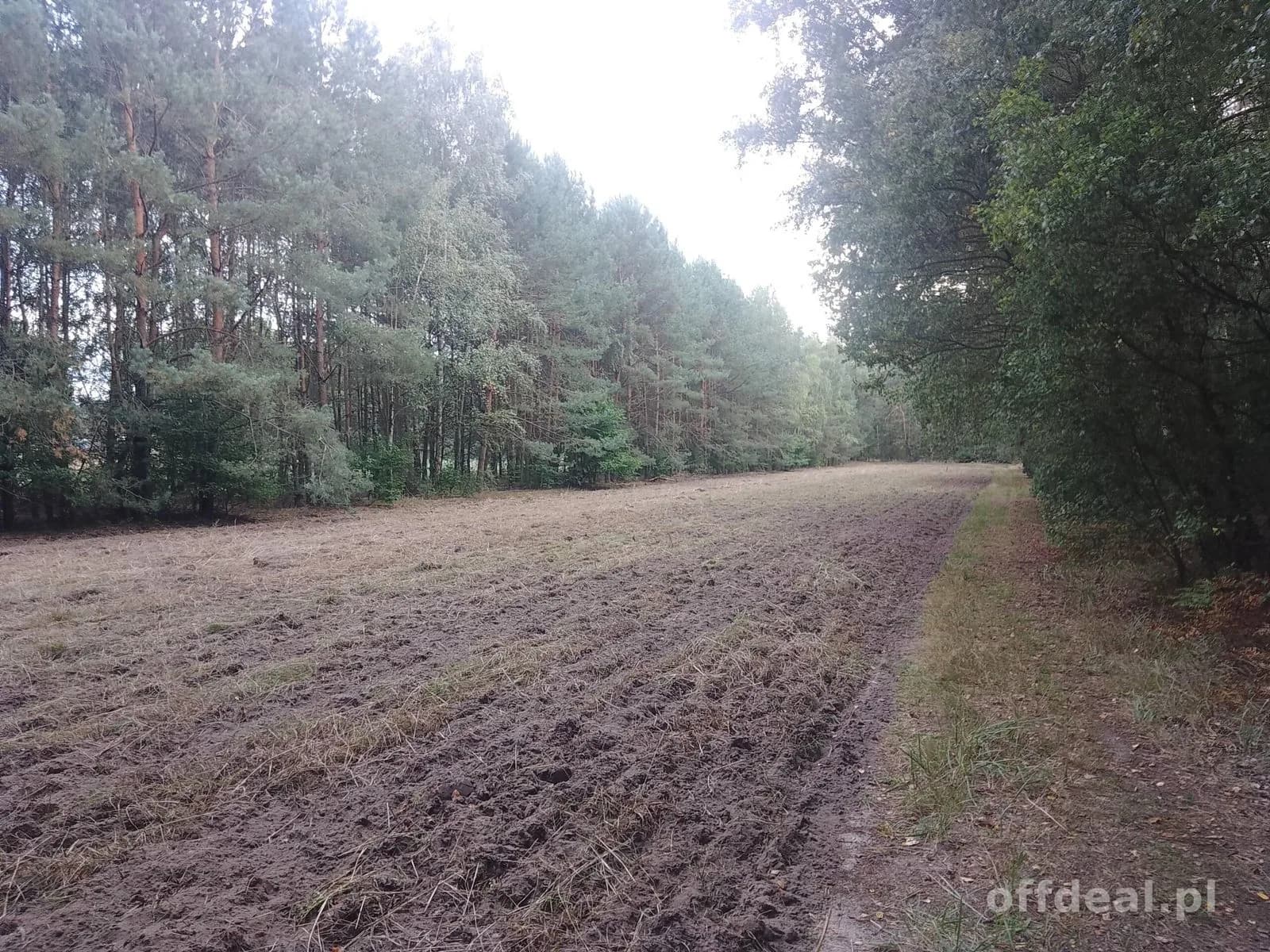 ділянка на продаж у Sobień | 1 200 m²