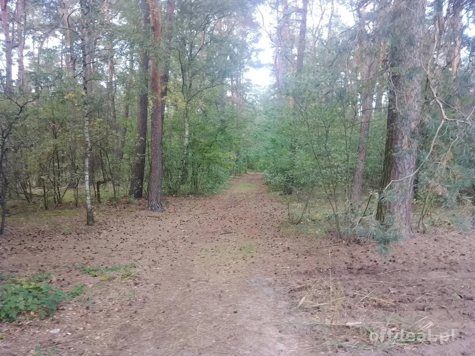 ділянка на продаж у Sobień | 1 200 m²
