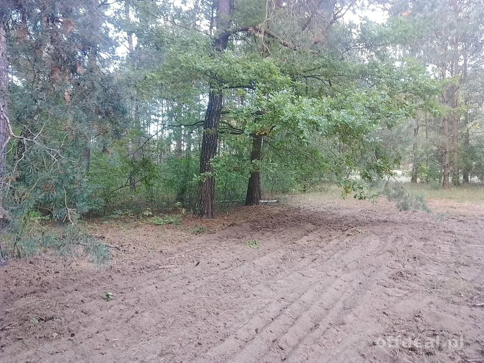 ділянка на продаж у Sobień | 1 200 m²