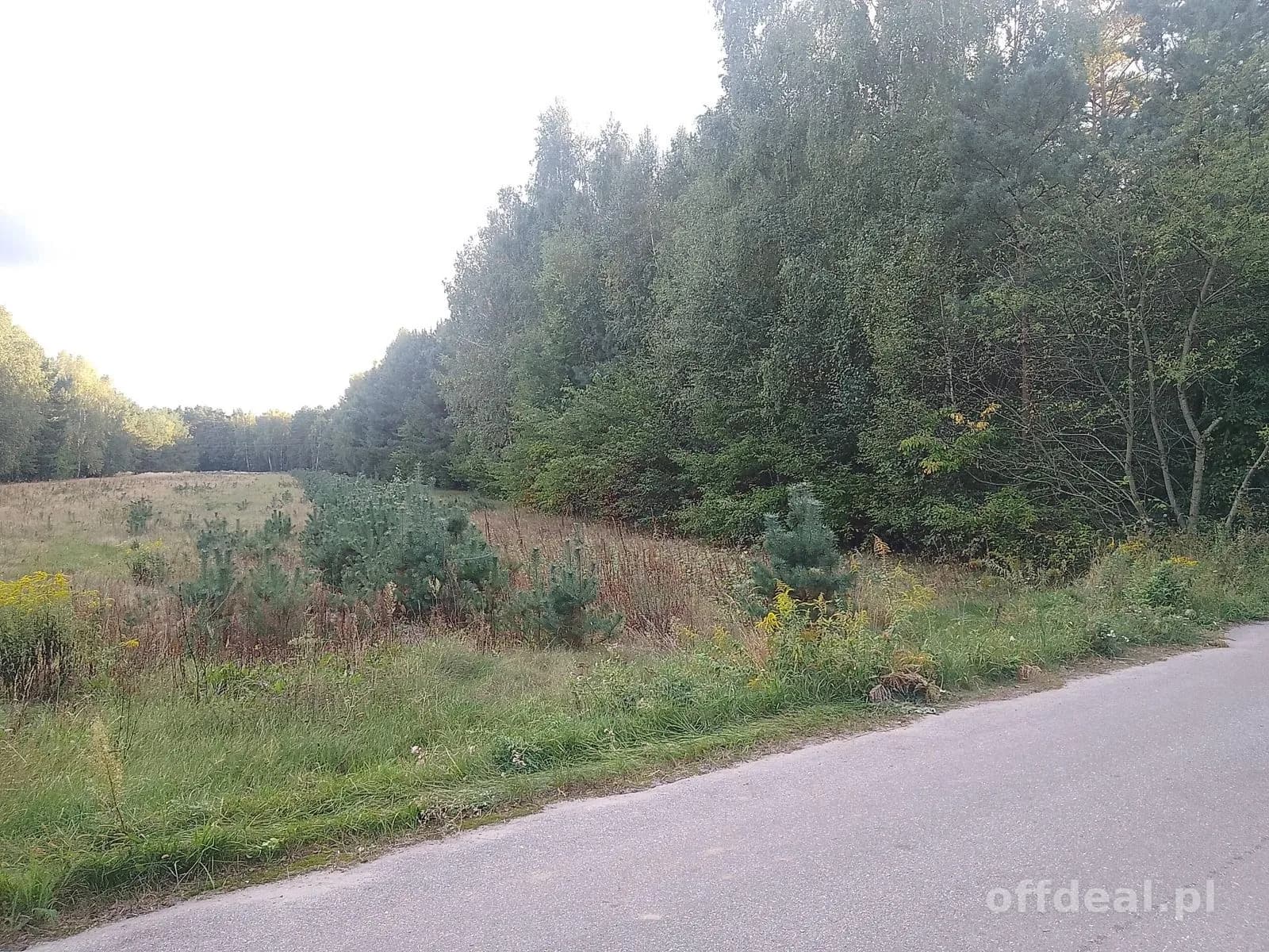 ділянка на продаж у Sobień | 1 200 m²