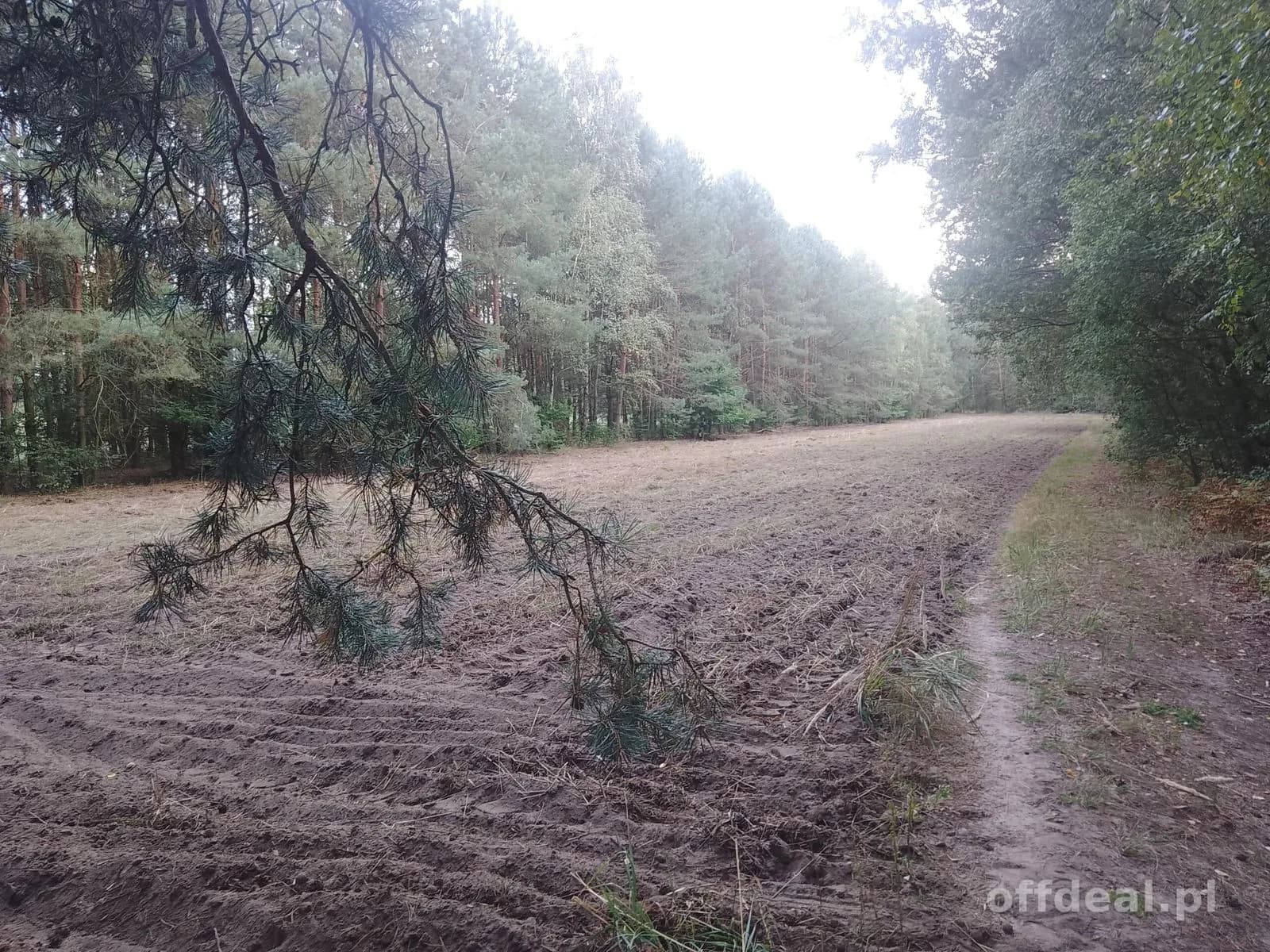 ділянка на продаж у Sobień | 1 200 m²