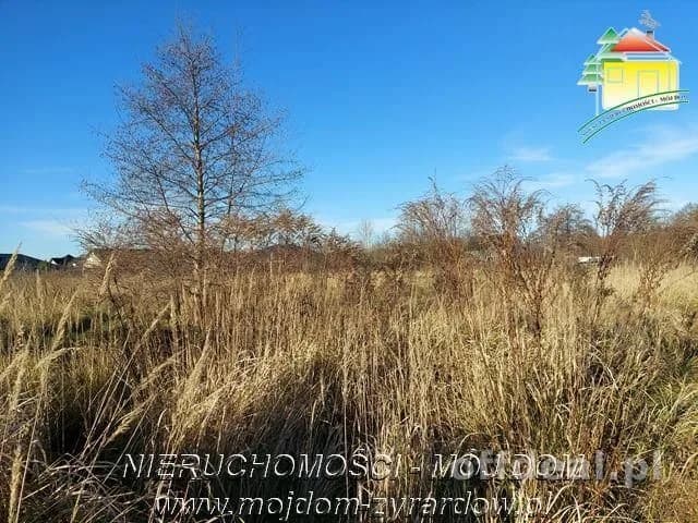 Polecamy atrakcyjną działkę w Sadych Budach