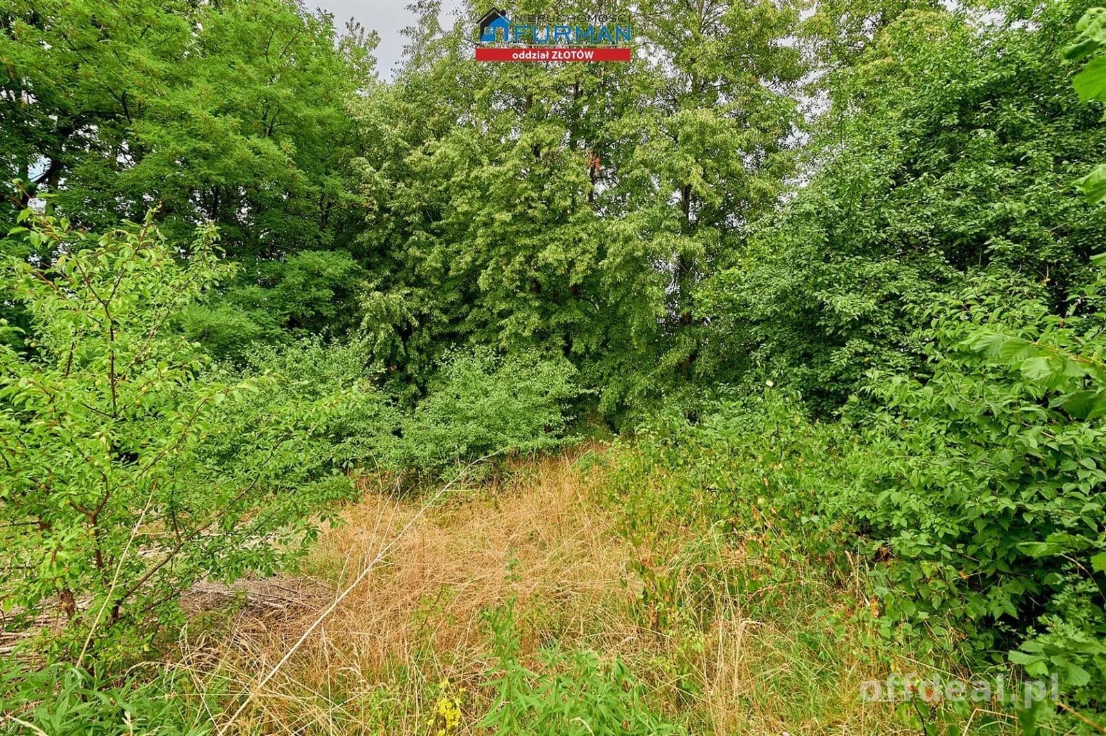 DZIAŁKA BUDOWLANA NA SPRZEDAŻ, JEZIORO. ZŁOTÓW