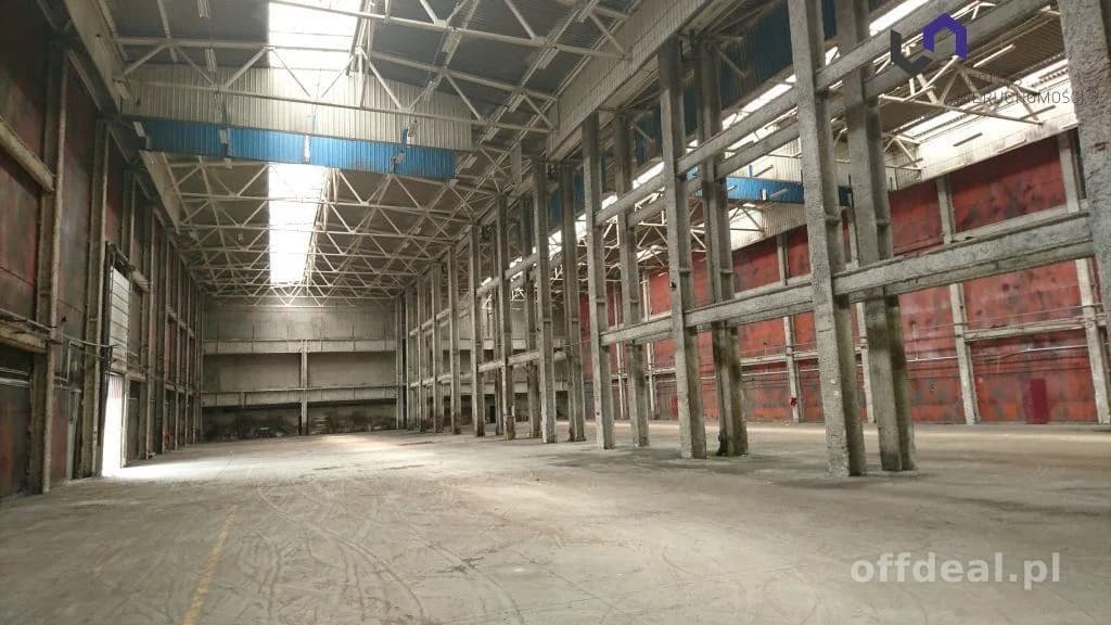 Lokal na wynajem, Katowice
