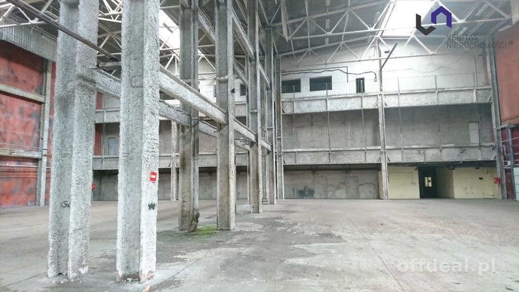 Lokal na wynajem, Katowice