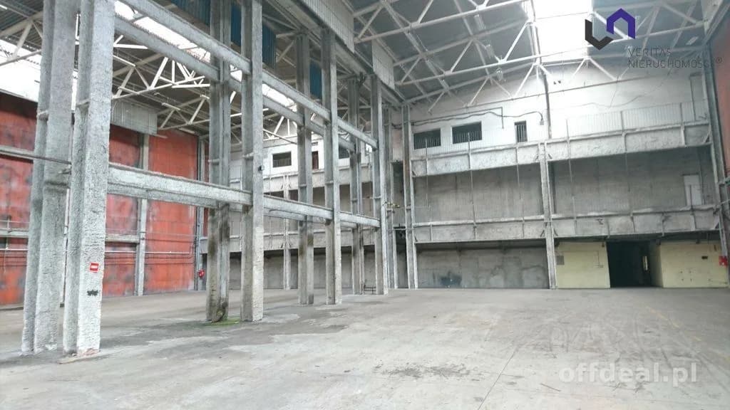 Lokal na wynajem, Katowice