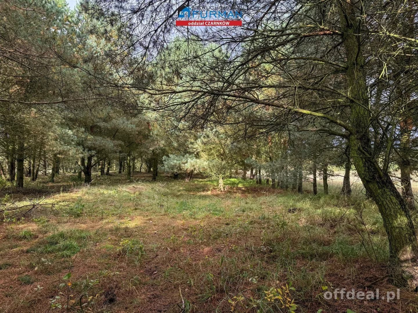 Działka na sprzedaż, Rychlik