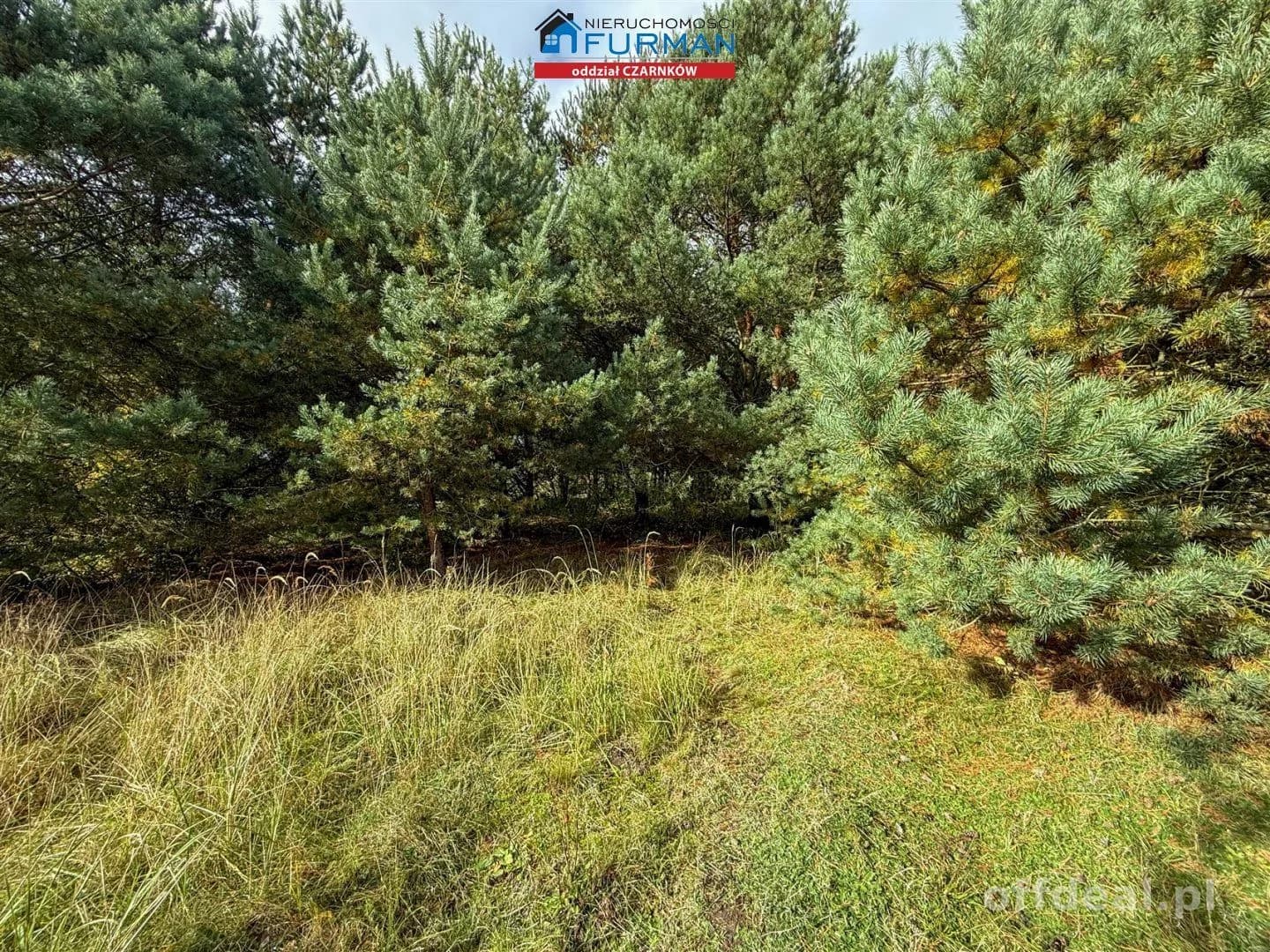 Działka na sprzedaż, Rychlik