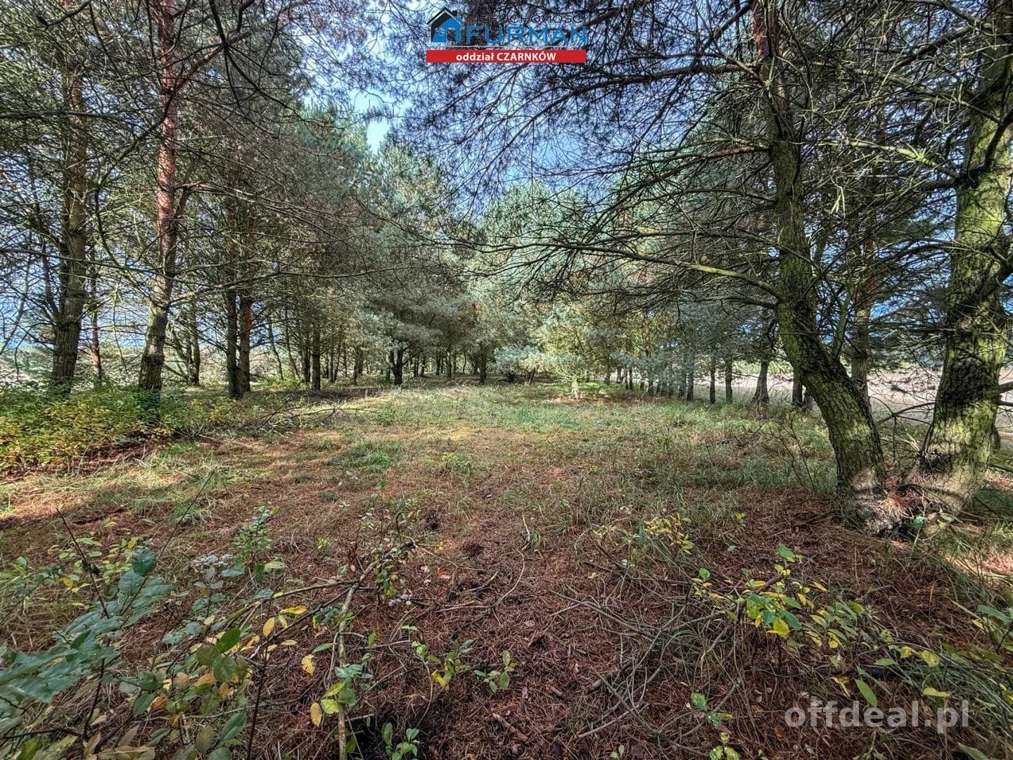 Działka na sprzedaż, Rychlik