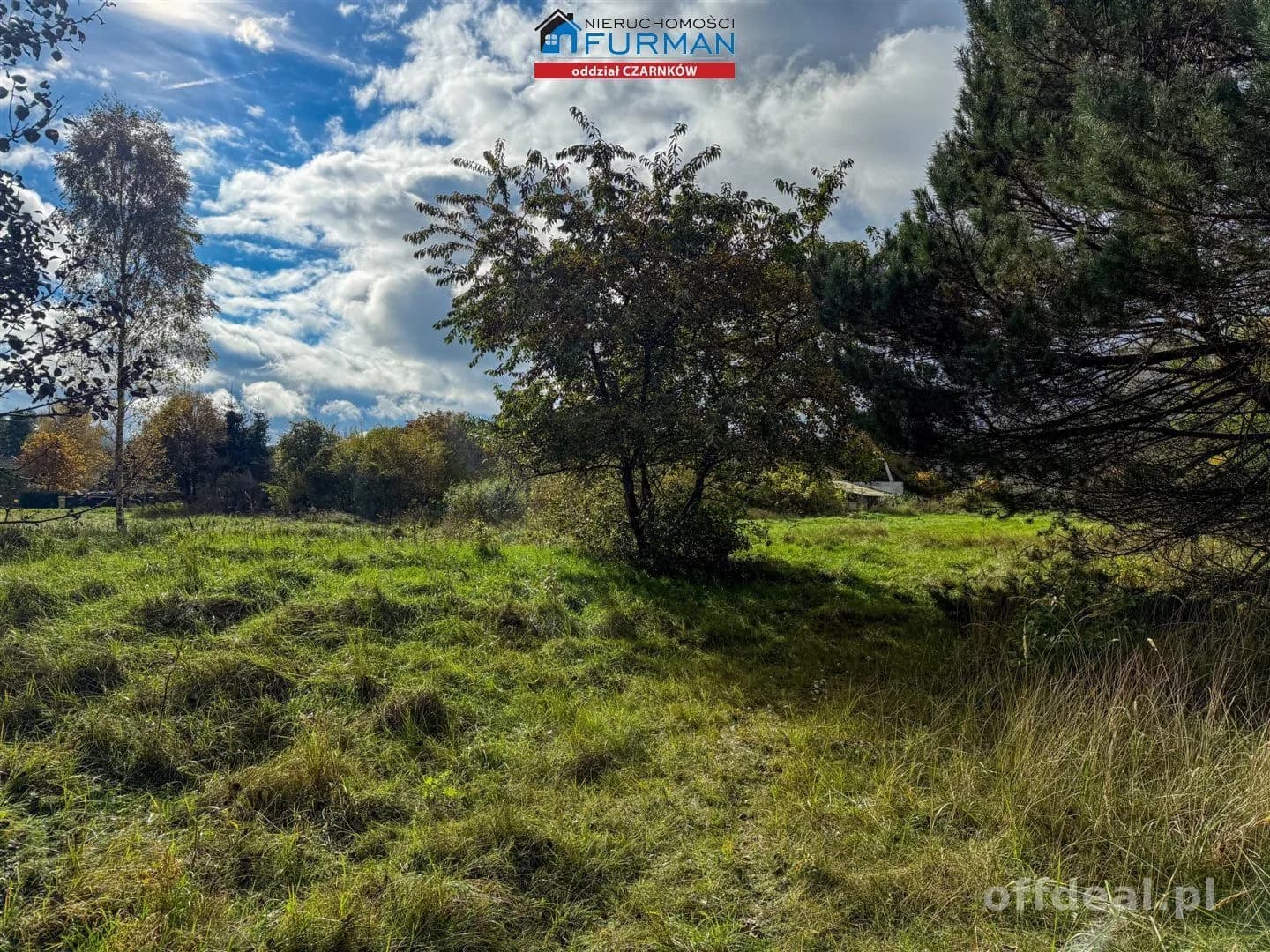 Działka na sprzedaż, Rychlik
