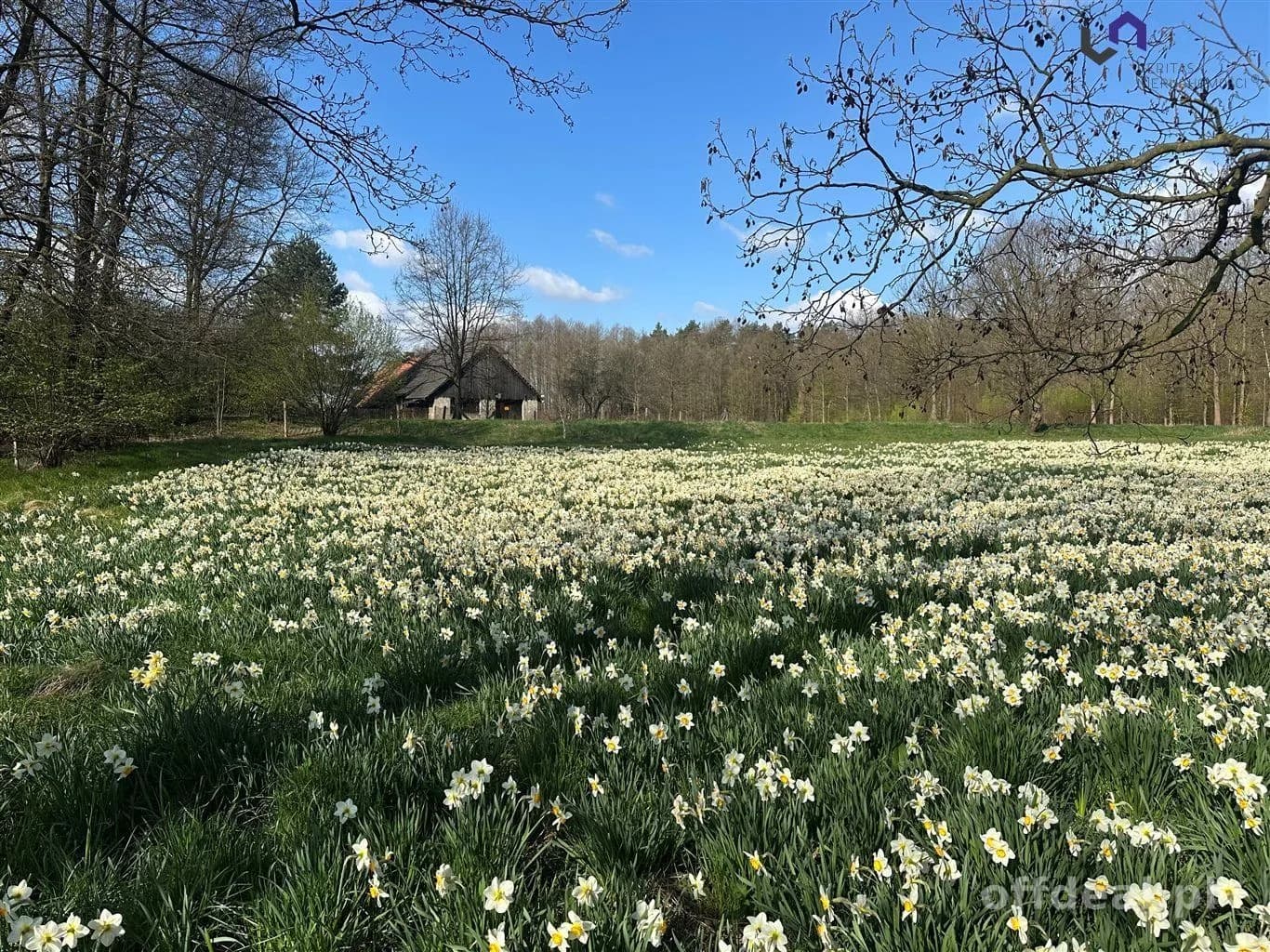 plot for sale in Gostyń | 2,007 m²
