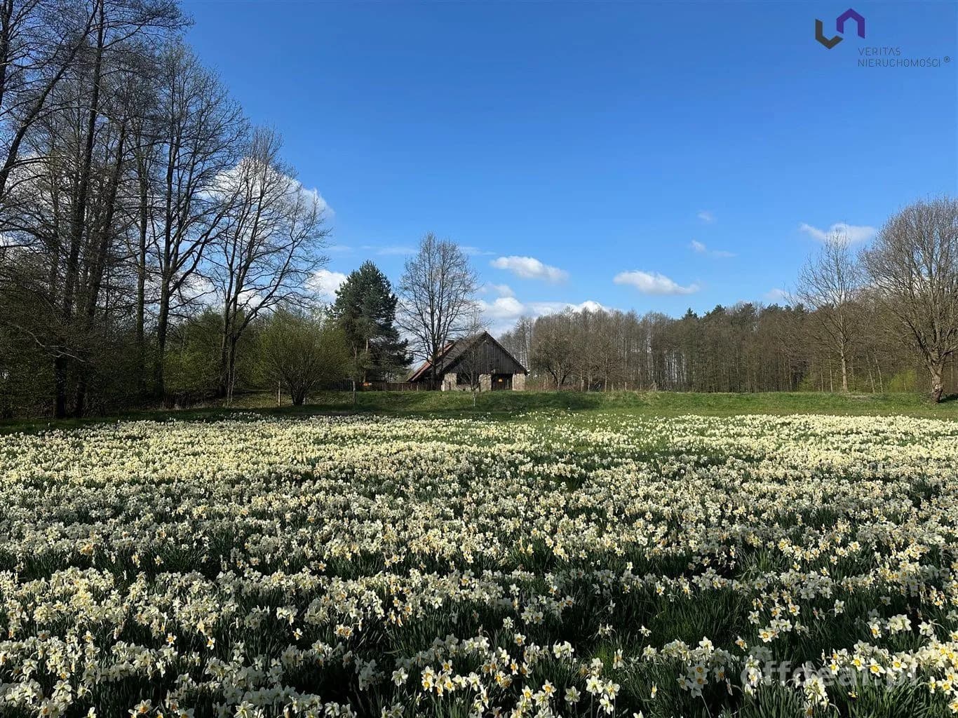 plot for sale in Gostyń | 2,007 m²