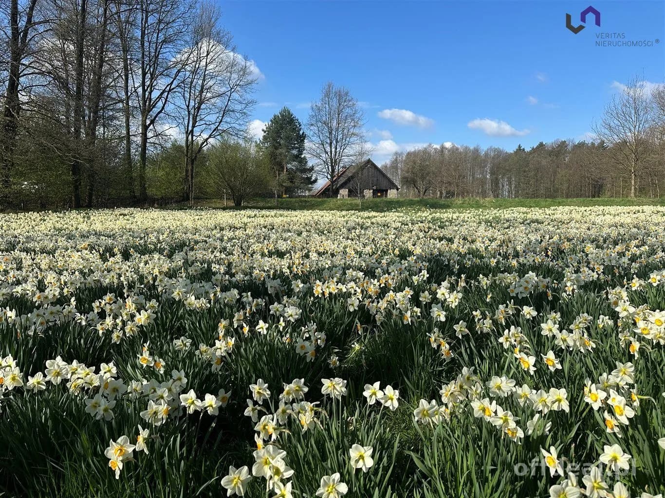 plot for sale in Gostyń | 2,007 m²
