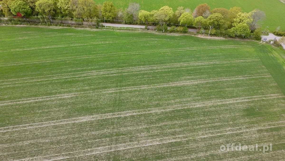 Działki pod dom po 3000m2-7 min od Łeby| MPZP