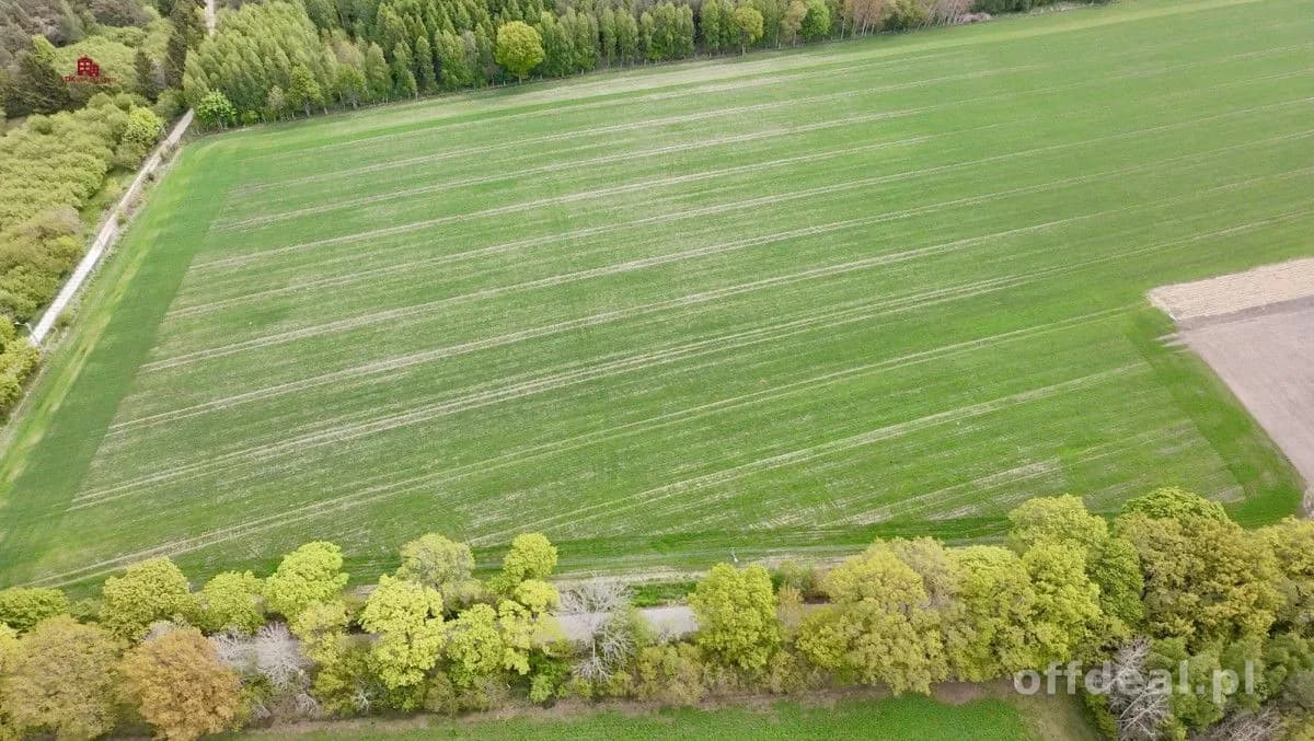 Działki pod dom po 3000m2-7 min od Łeby| MPZP