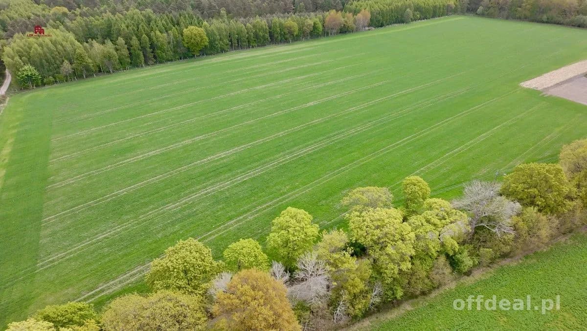 Działki pod dom po 3000m2-7 min od Łeby| MPZP