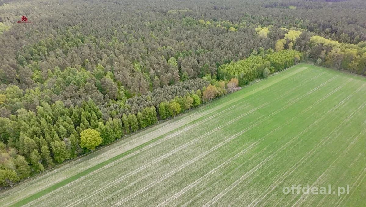 Działki pod dom po 3000m2-7 min od Łeby| MPZP