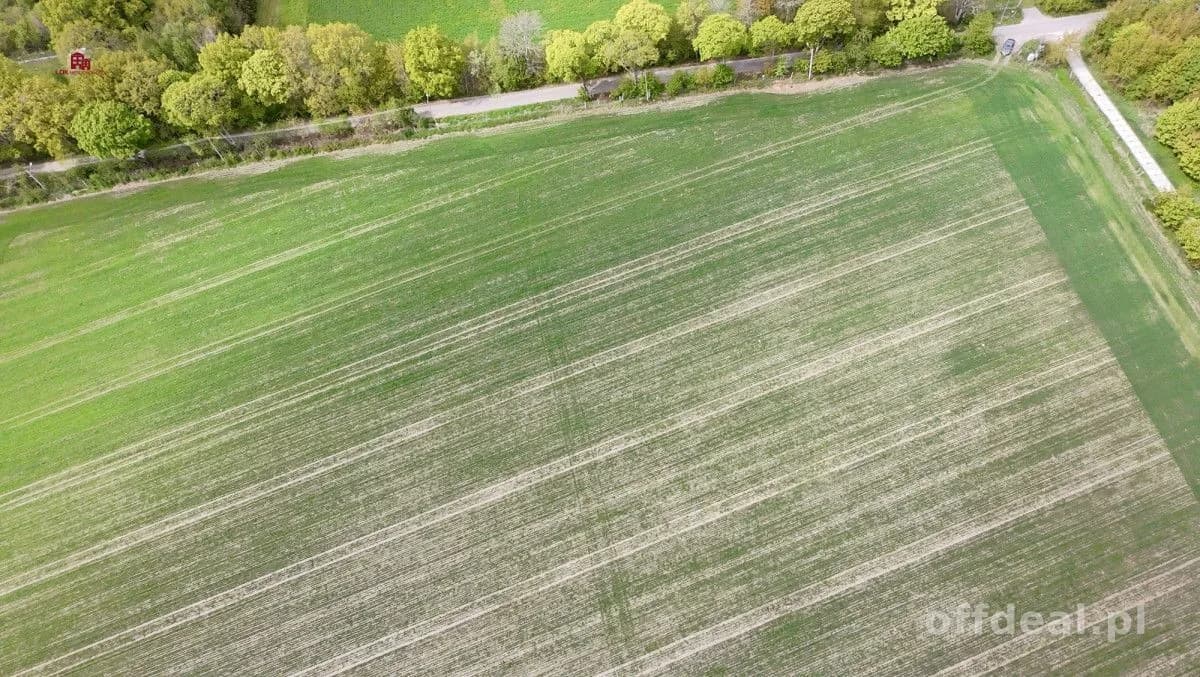 Działki pod dom po 3000m2-7 min od Łeby| MPZP