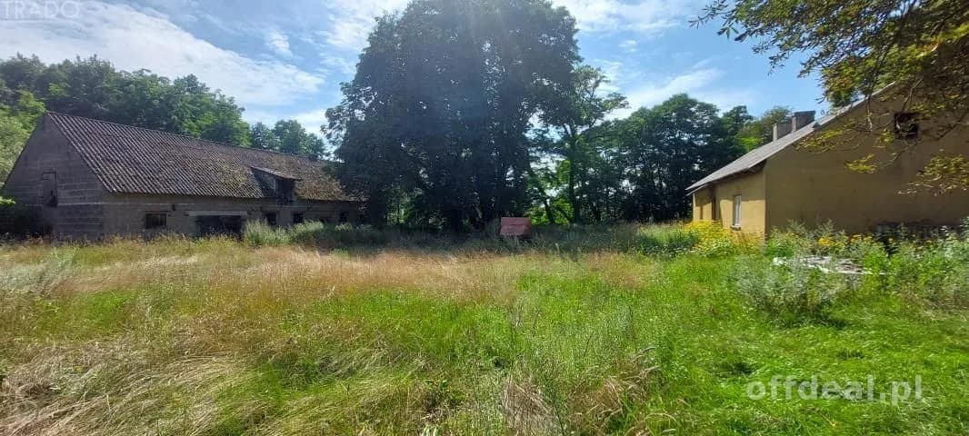 Nowy dom na 2 ha, Żdżary, Stare Miasto, Konin