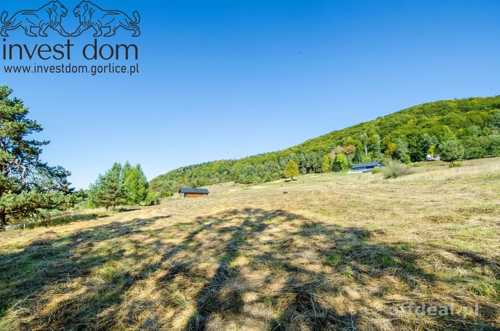 Zdjęcie 10: Działka, 5621 m², Wysowa-Zdrój