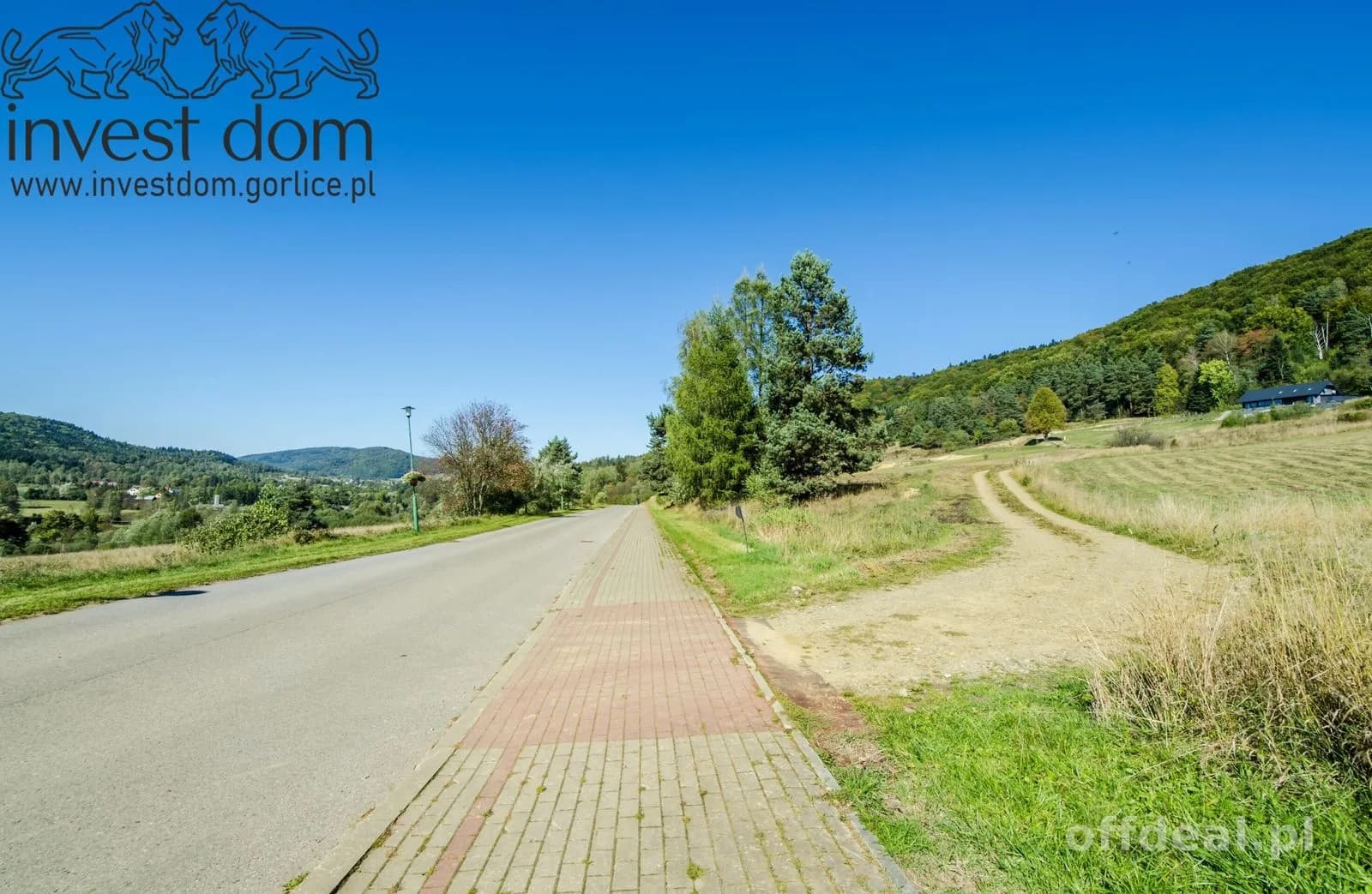 Zdjęcie 13: Działka, 5621 m², Wysowa-Zdrój
