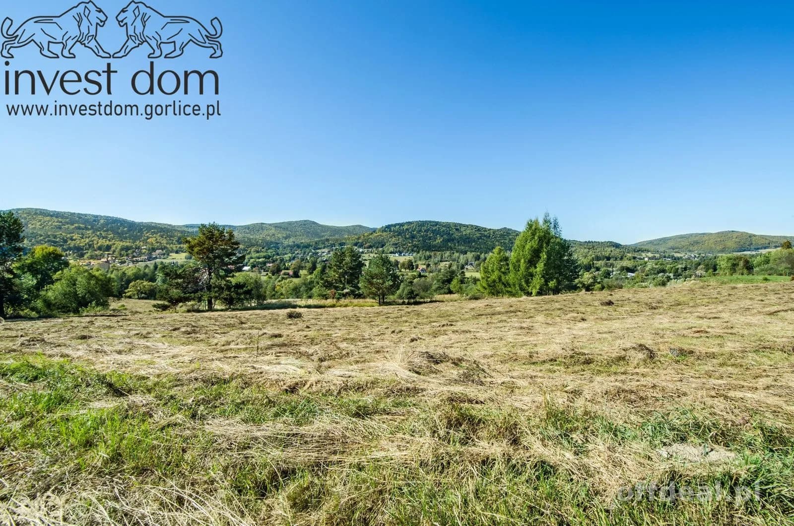 Zdjęcie 6: Działka, 5621 m², Wysowa-Zdrój