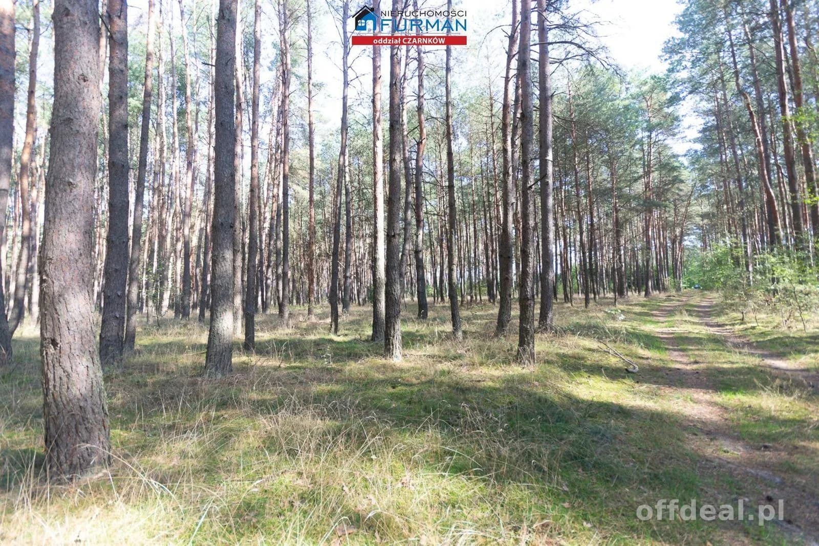 działki na sprzedaż w Rosku (gmina Wieleń)