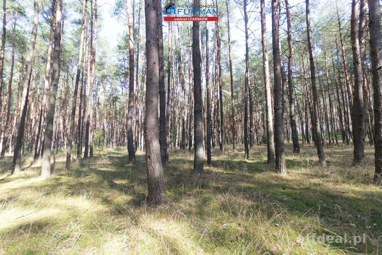 działki na sprzedaż w Rosku (gmina Wieleń)