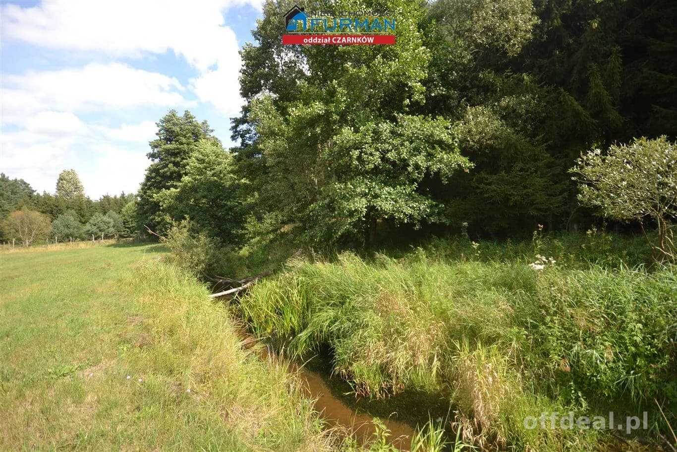 terrain à vendre à Antoniewo | 15 490 m²