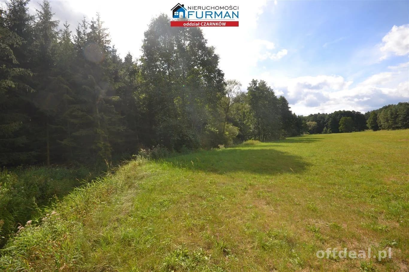 terrain à vendre à Antoniewo | 15 490 m²