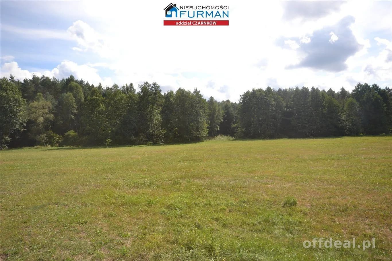 terrain à vendre à Antoniewo | 15 490 m²