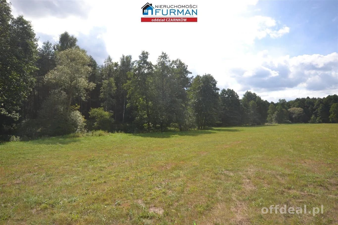terrain à vendre à Antoniewo | 15 490 m²