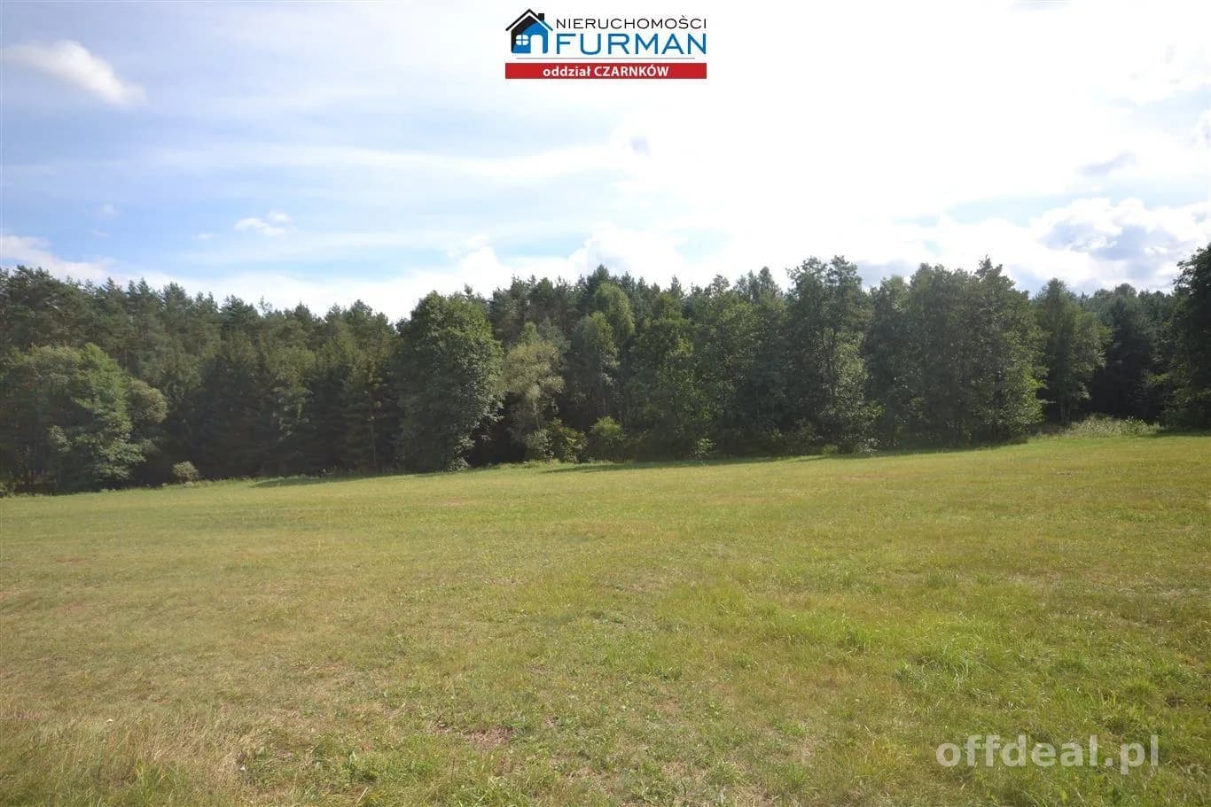 terrain à vendre à Antoniewo | 15 490 m²