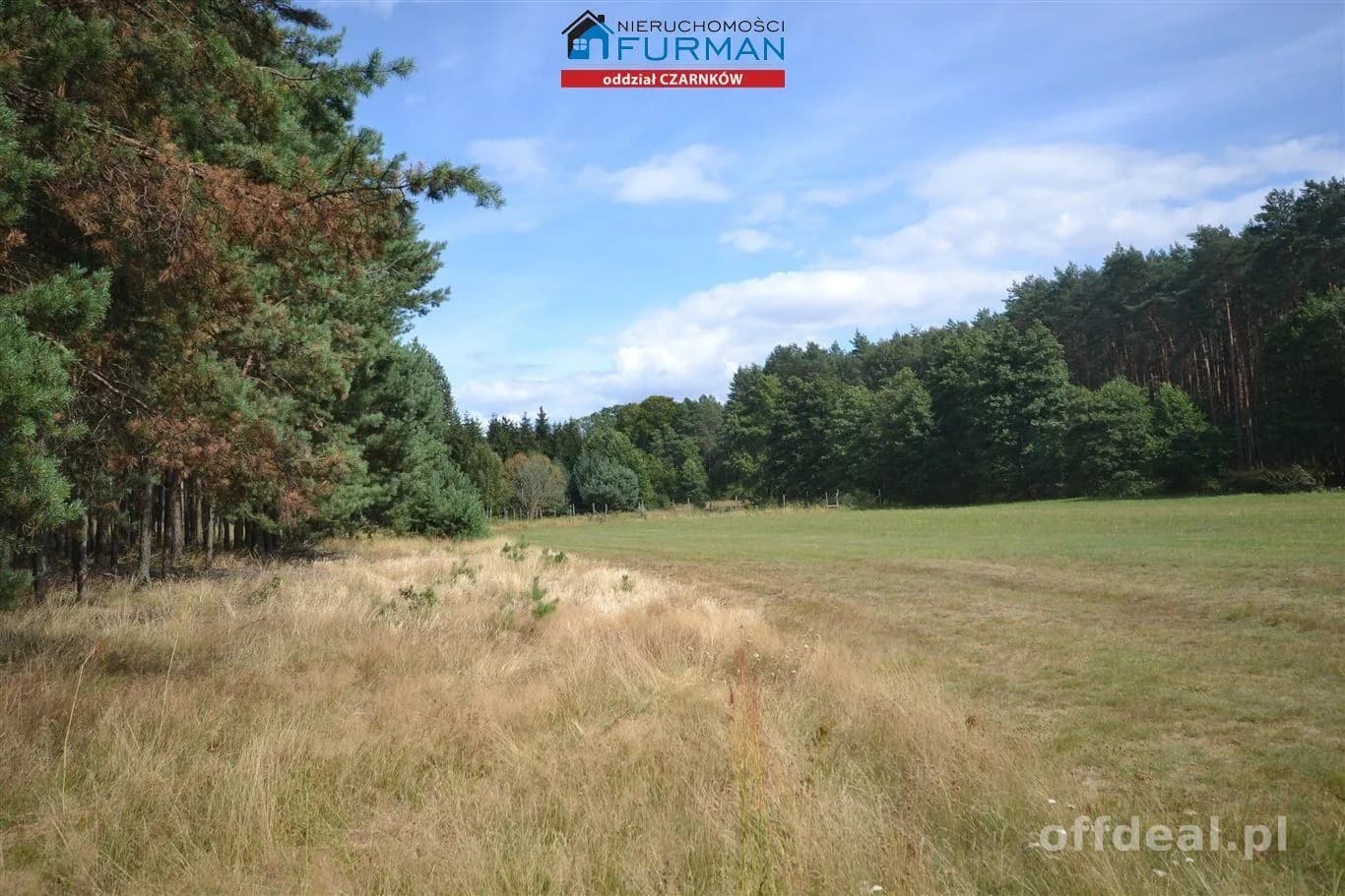 terrain à vendre à Antoniewo | 15 490 m²