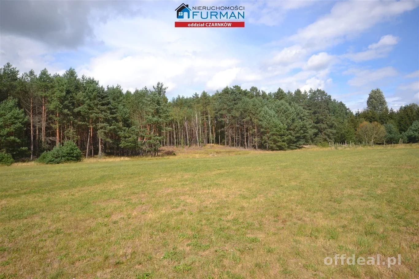 terrain à vendre à Antoniewo | 15 490 m²