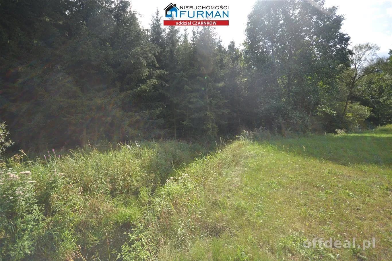 terrain à vendre à Antoniewo | 15 490 m²