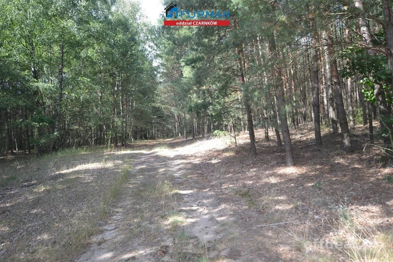 terrain à vendre à Antoniewo | 15 490 m²