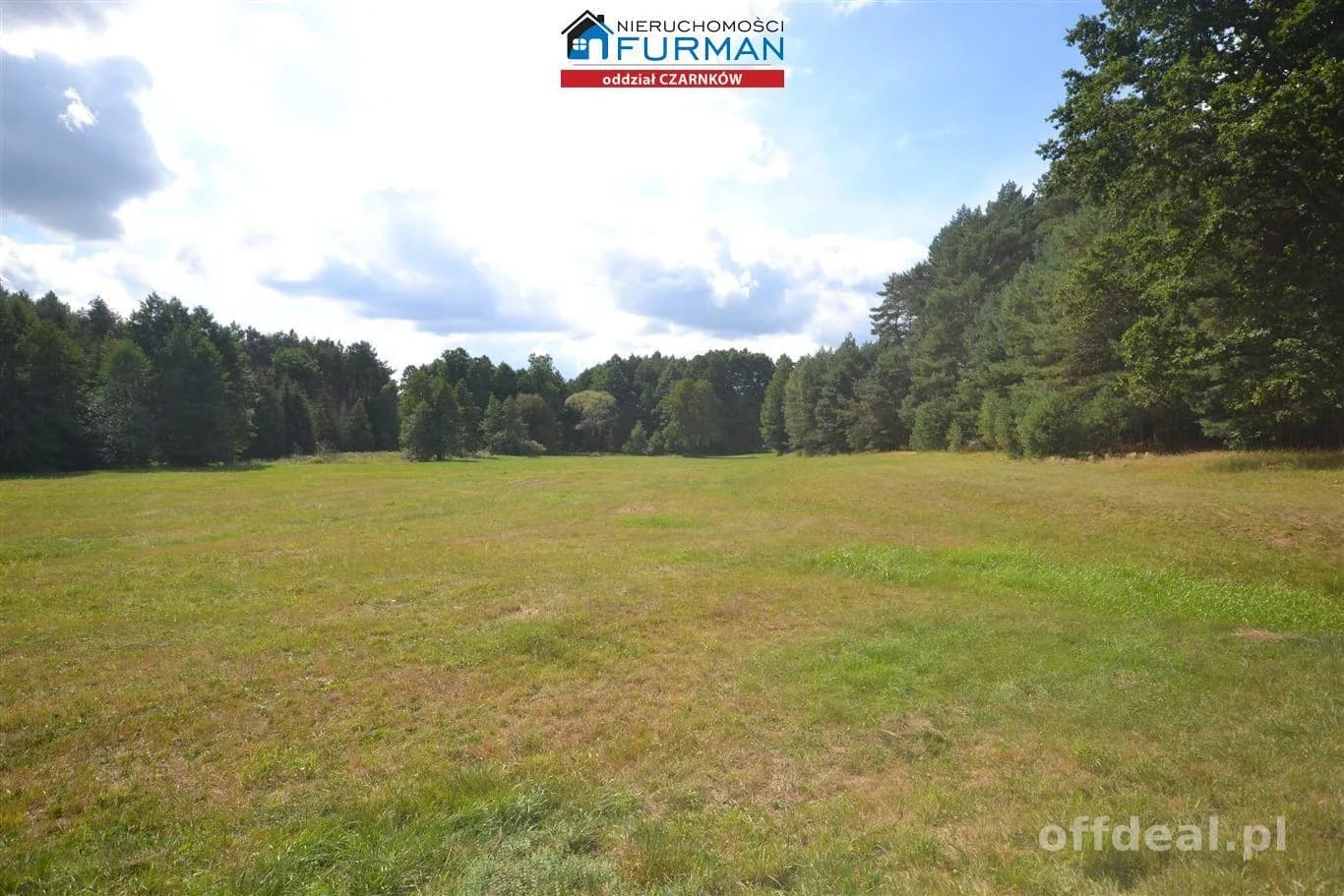 terrain à vendre à Antoniewo | 15 490 m²