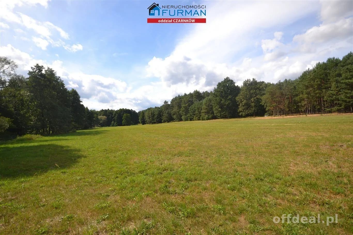terrain à vendre à Antoniewo | 15 490 m²