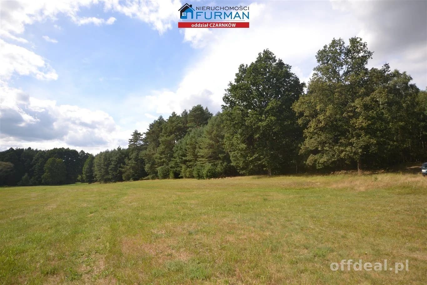 terrain à vendre à Antoniewo | 15 490 m²