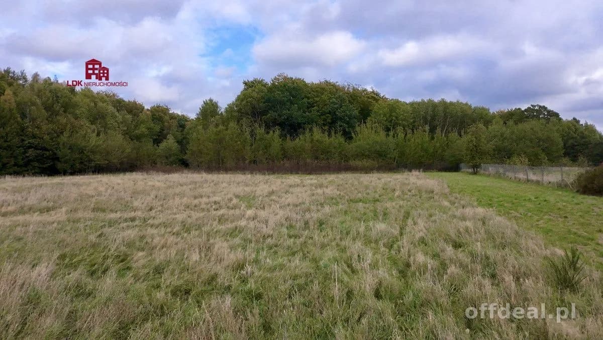 Photo 8: Plot, 1589 m², Gałęzinowo