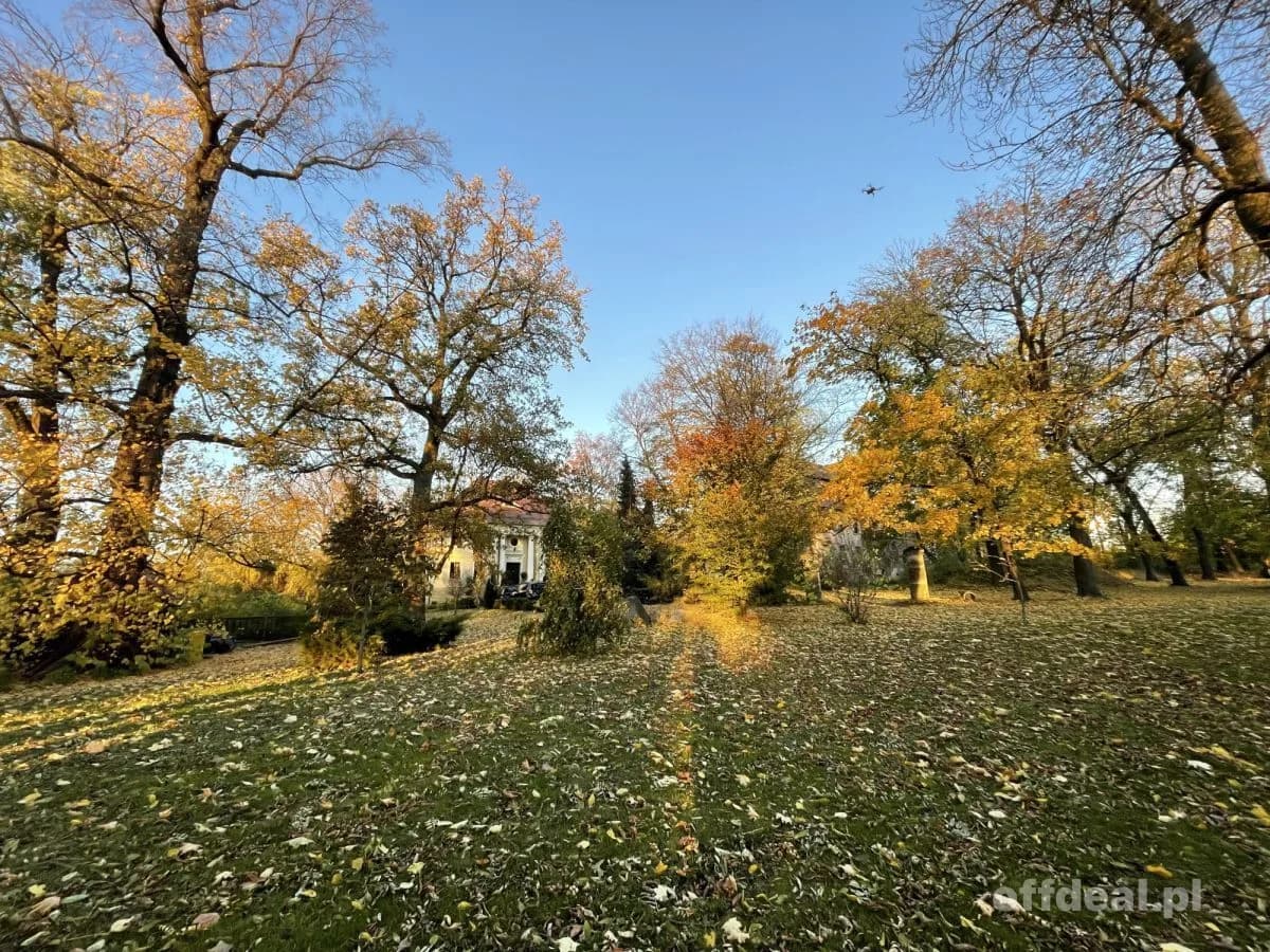 ZABYTKOWY PAŁAC W RYCHNOWIE – WYJĄTKOWA INWESTYCJA