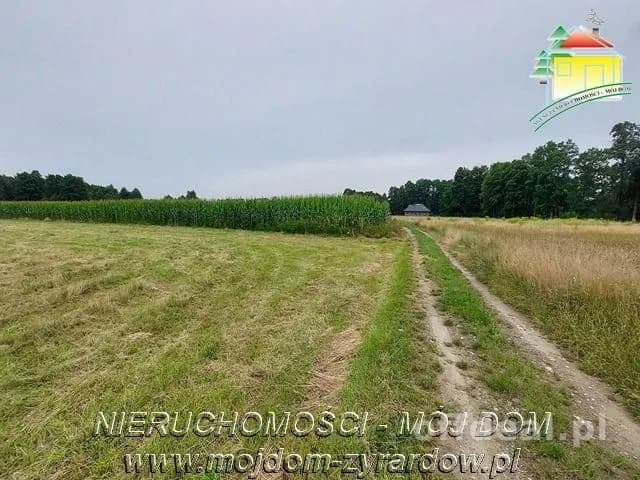 Duża działka w Starych Budach.