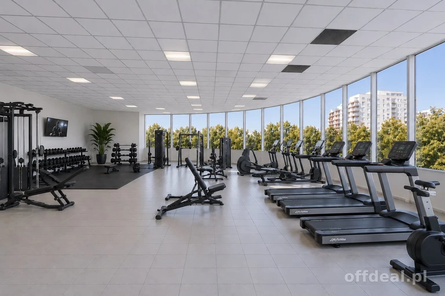 PRZESTRZEŃ DLA STUDIA PILATES, FITNESS, WELLNESS