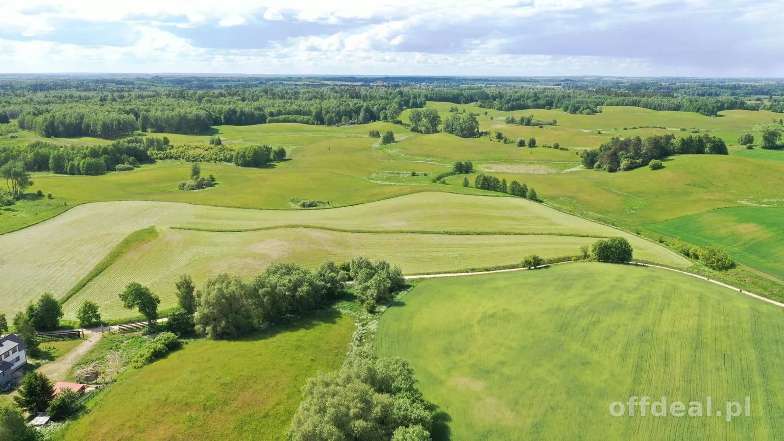 Działka 1,5 ha z MPZP pod budownictwo jednorodzinne